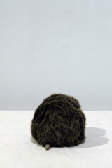 yuya inagawa handmade HEDGE HOG doll object ハンドメイド 針モグラ