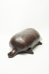 OMERSA TURTLE STANDARD PRE