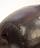 OMERSA GALAPAGOS TURTLE LARGE