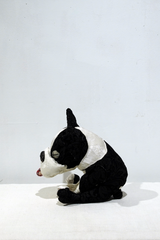 yuya inagawa handmade BOSTON TERRIER doll object　ハンドメイド ボストンテリア 　