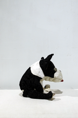 yuya inagawa handmade BOSTON TERRIER doll object　ハンドメイド ボストンテリア 　
