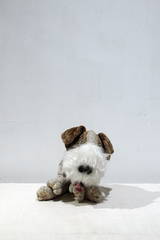 yuya inagawa handmade JACK RUSSELL TERRIER doll object　ハンドメイド ジャックラッセルテリア-1