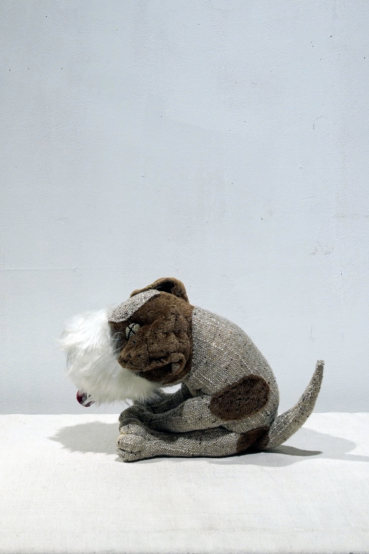 YUYA INAGAWA – SwTRAS