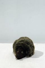 yuya inagawa handmade HEDGE HOG doll object　ハンドメイド 針モグラ