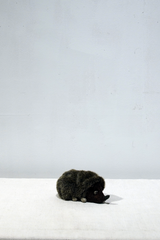 yuya inagawa handmade HEDGE HOG doll object　ハンドメイド 針モグラ