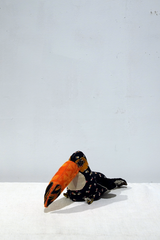 Yuya Inagawa Handmade Toco Toucan Doll Object