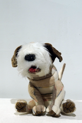 yuya inagawa handmade JACK RUSSELL TERRIER doll object　ハンドメイド ジャックラッセルテリア-4